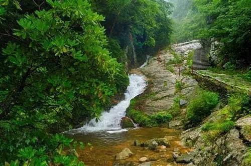 黑道圣徒4