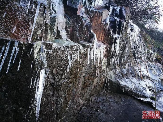 英语专业学生毕业后颁发教师资格证吗？游戏画面
